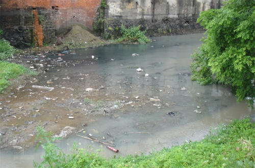 为什么会出现黑臭水体，对环境有哪些影响？