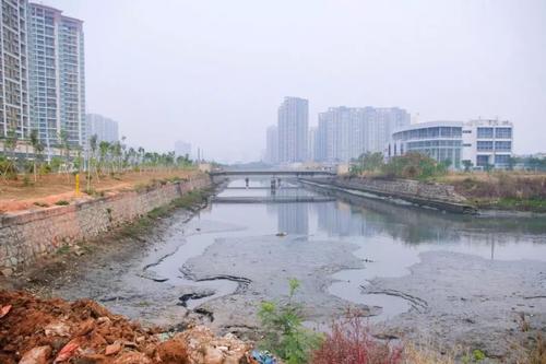 黑臭水体产生的原因，黑臭水体如何治理？