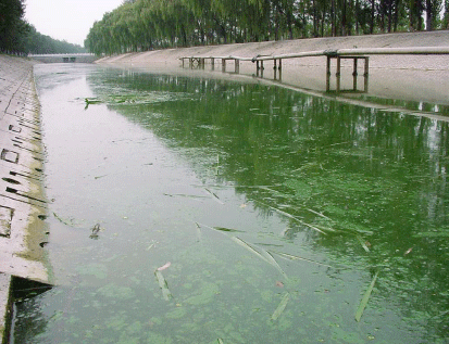 黑臭河道治理系统方案