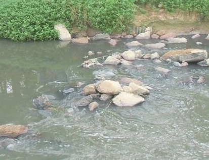 景观水体、湖泊等生态修复方案